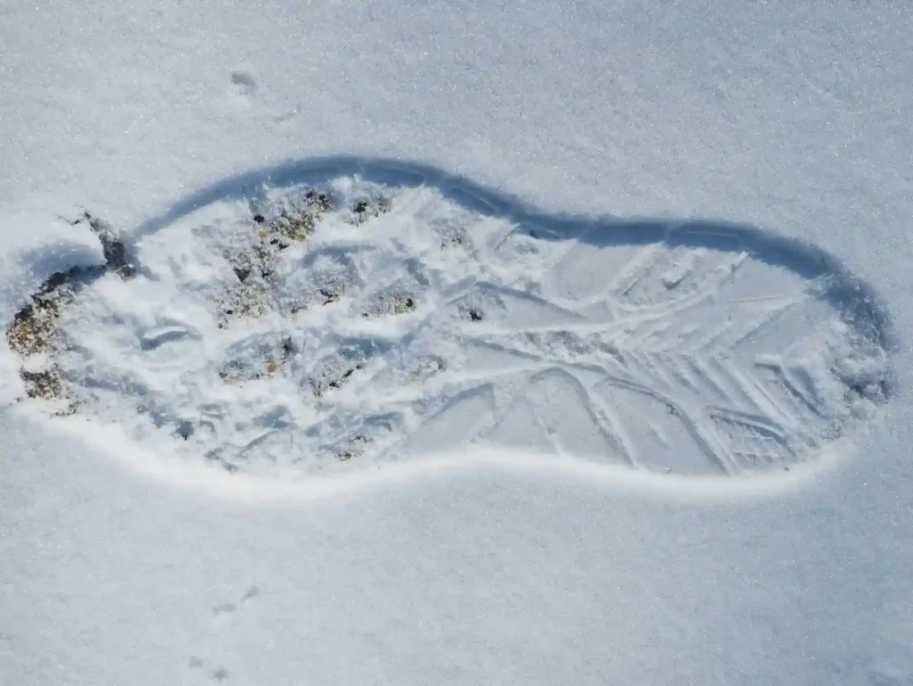 Funny January Quotes